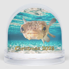 Warnung der Fische: Funny Puffer Fish: Kann unter  Schneekugeln