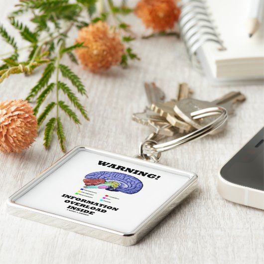 Warnung! Informations-Überlastungs-Innere Schlüsselanhänger (Seite)