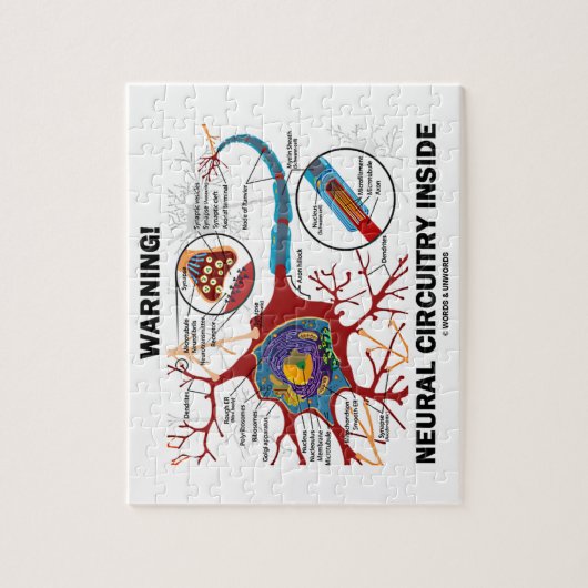 Warnung! Neurales Schaltkreis-Innere Puzzle (Vertikal)