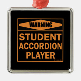 Warnung! Student Accordion Player! Ornament Aus Metall