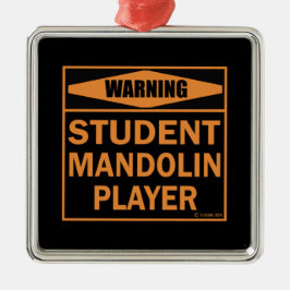 Warnung! Student Mandolin Player! Ornament Aus Metall