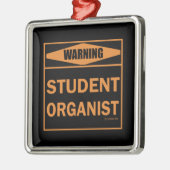 Warnung! Studentenorganisator! Silbernes Ornament (Links)