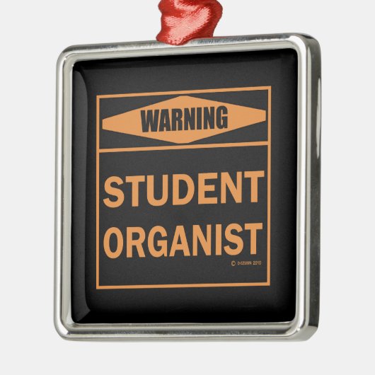Warnung! Studentenorganisator! Silbernes Ornament (Links)