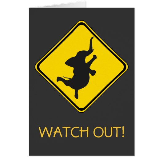 Warnung: Tanzt Elefant Xing! (Vorne)