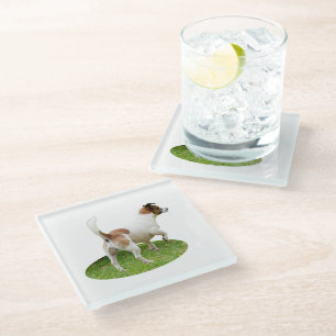 "Warnung und Bereit: Ein brauner und weißer Fox-Te Glasuntersetzer