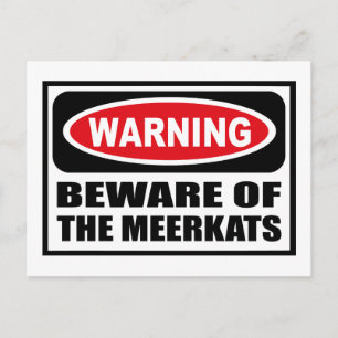 Warnung vor der MEERKATS-Postkarte Postkarte