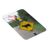 Warnzeichen für das Überschreiten von Rindern, Uta Magnet (Rechte Seite)