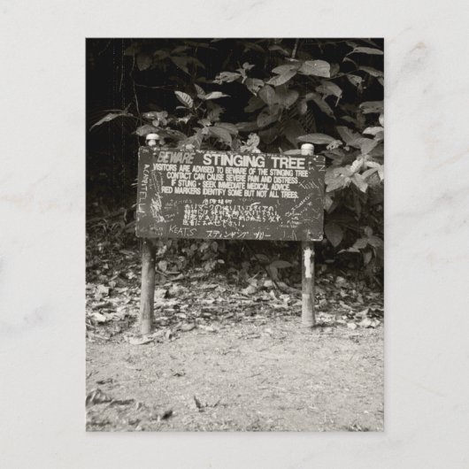 Warnzeichen für die Stielbaum Postkarte (Vorderseite)