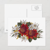 Warratha Flannel Blume Postkarte (Vorne/Hinten)