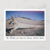 Warren Dunes Staat Park Mt. Baldy Michigan Postkarte (Vorderseite)