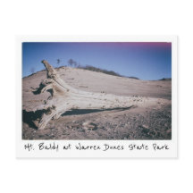 Warren Dunes Staat Park Mt. Baldy Michigan