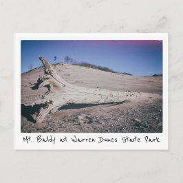 Warren Dunes Staat Park Mt. Baldy Michigan Postkarte