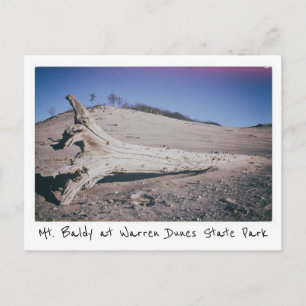 Warren Dunes Staat Park Mt. Baldy Michigan Postkarte
