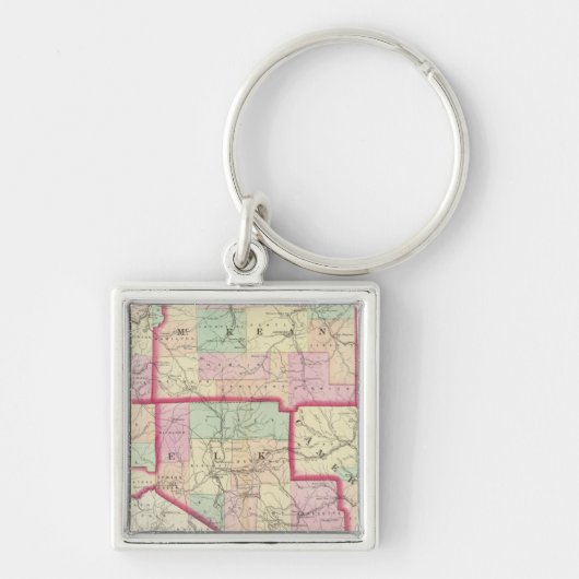 Warren, McKean, Potter, Wald Schlüsselanhänger (Vorne)