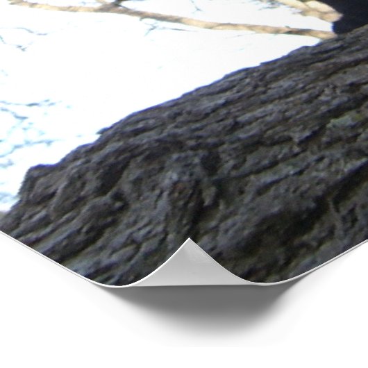 Warrior Cat Poster (Ecke)