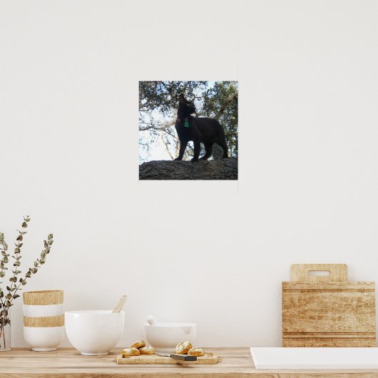 Warrior Cat Poster (Küche)