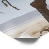 Warrior Ostrich Poster (Ecke)