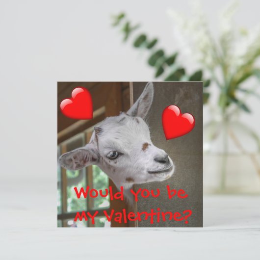 Wärst du mein Valentin? Goat Funny Card (Stehend Vorderseite)