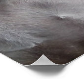 Wart: Der weiße Boxer Poster (Ecke)