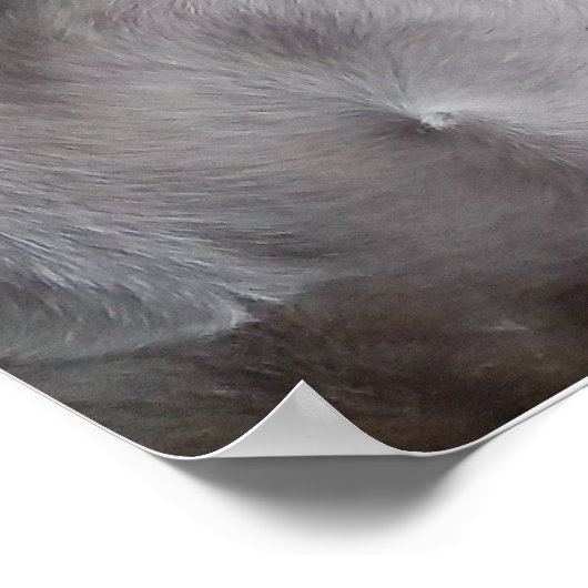 Wart: Der weiße Boxer Poster (Ecke)