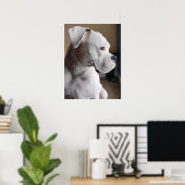 Wart: Der weiße Boxer Poster (Heimbüro)