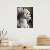 Wart: Der weiße Boxer Poster (Küche)