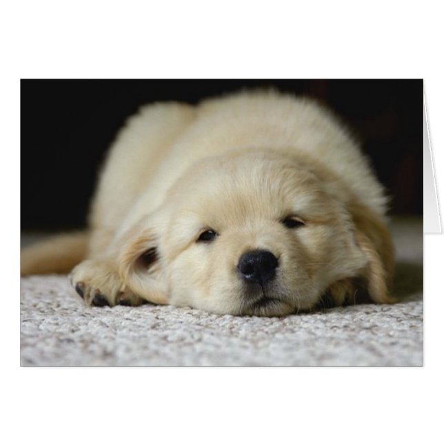 Wart für Sie (Vorderseite (Horizontal))