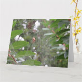 Wart Spider Karte (Gelbe Blume)