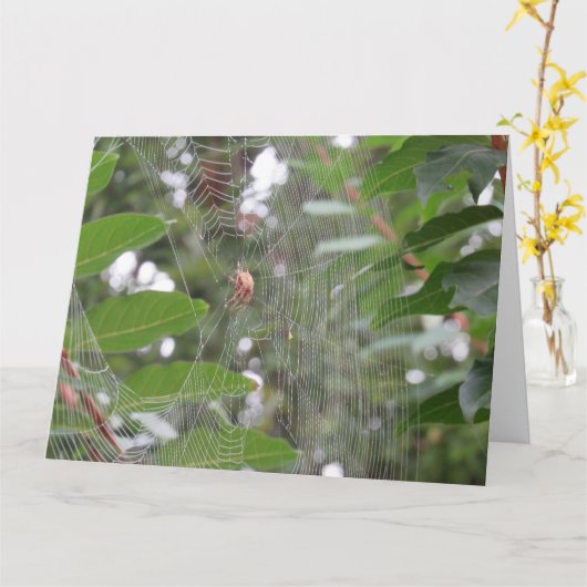 Wart Spider Karte (Gelbe Blume)