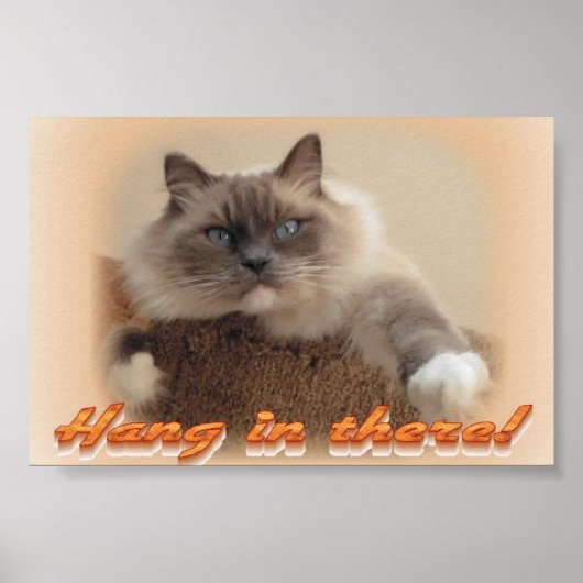 Warte da rein! poster (Vorne)