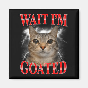 Warte, großartige Katze alberne lustige Katzen-Mem Magnet