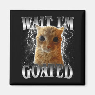 Warte, ich bin goateter lustiger starrender Katzen Magnet