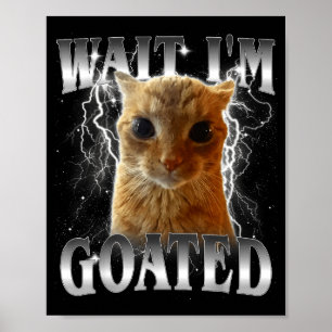Warte, ich bin goateter lustiger starrender Katzen Poster
