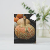 Warted Pumpkin Postkarte (Stehend Vorderseite)