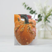 Warted Pumpkin Postkarte (Stehend Vorderseite)
