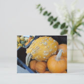 Warted Pumpkin Postkarte (Stehend Vorderseite)