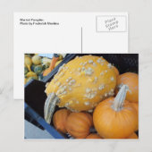 Warted Pumpkin Postkarte (Vorne/Hinten)