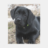 Wartefeder - Labrador Puppy - Schwarzes Labor Fleecedecke (Vorderseite)