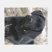 Wartefeder - Labrador Puppy - Schwarzes Labor Fleecedecke (Vorderseite (Horizontal))