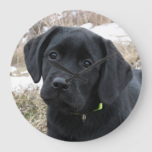Wartefeder - Labrador Puppy - Schwarzes Labor Große Wanduhr