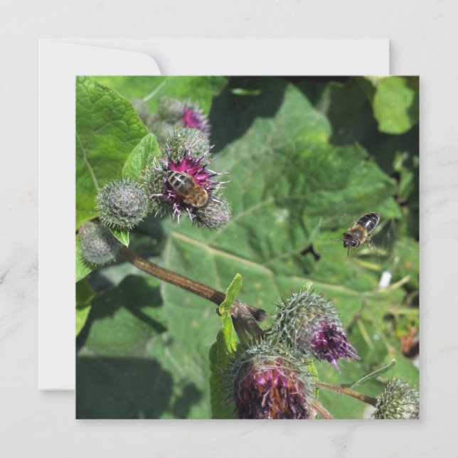 warten (Vorderseite)