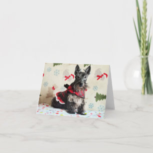 Warten auf die Santa Paws Karte