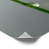 Warten, Blue Damselfly nah Poster (Ecke)