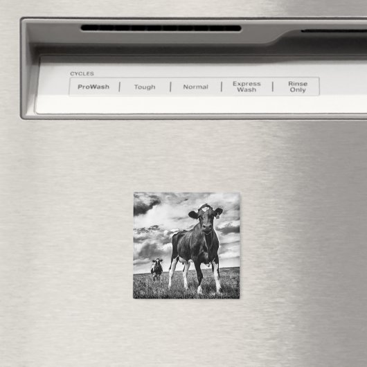 Warten BW Crop Magnet (In Situ (Geschirrspüler))