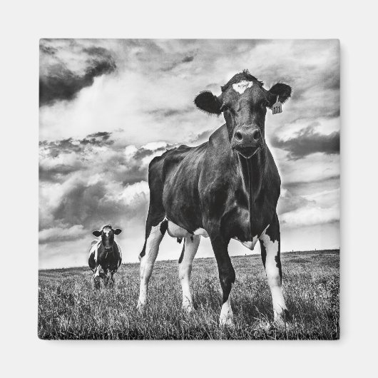 Warten BW Crop Magnet (Vorne)