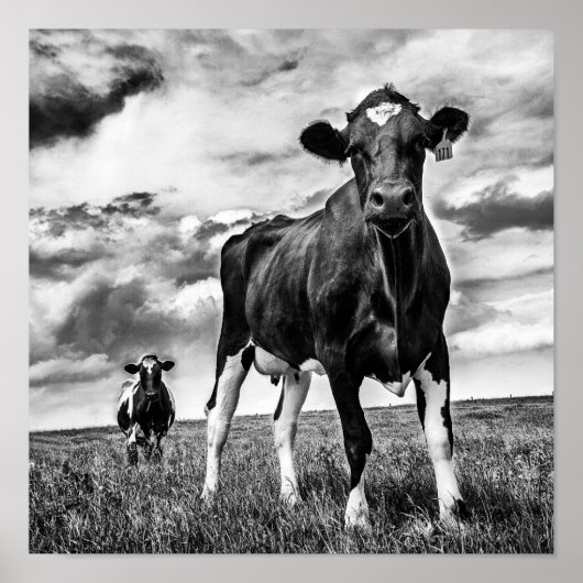 Warten BW Crop Poster (Vorne)