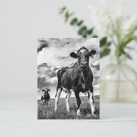 Warten BW Crop Postkarte (Stehend Vorderseite)