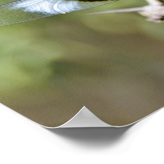 Warten Dragonfly Naturelebibel Verse Poster (Ecke)