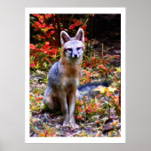 WARTEN FÜR SANDRA POSTER (Vorne)