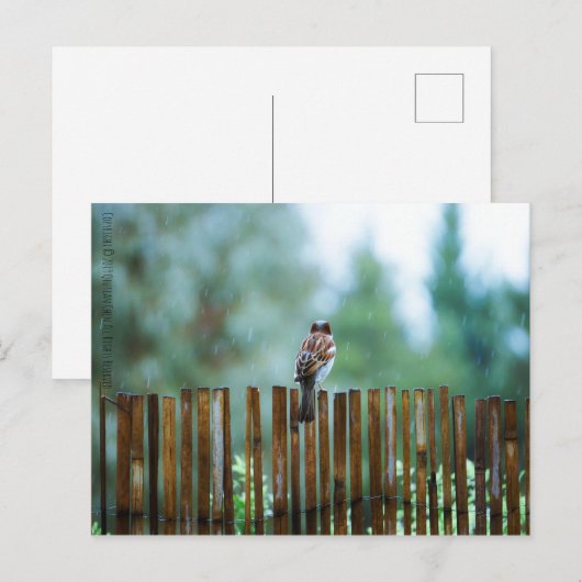 Warten_light Postkarte (Vorne/Hinten)